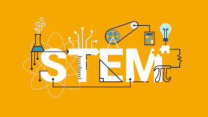 STEM Curriculum Innovations: Transforming Education for the Future