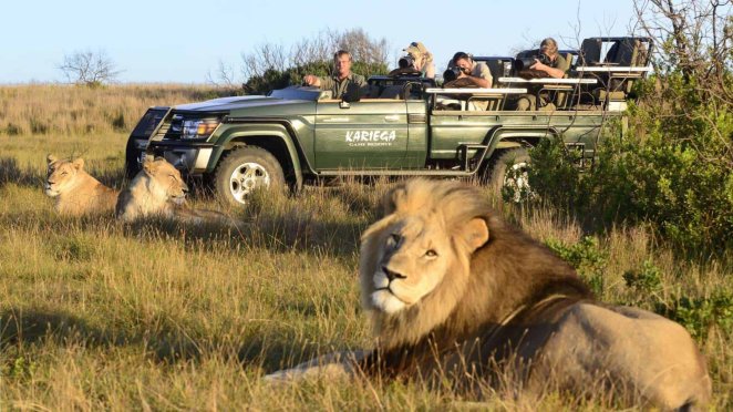 Southern Africa’s Safari Destination Demands Serious Commitment But Delivers Transformation Mass Tourism Never Touches